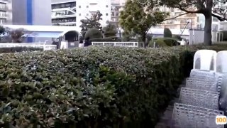 冰与火之歌第六卷多人运动